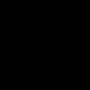 Meet your Posher, Rachi